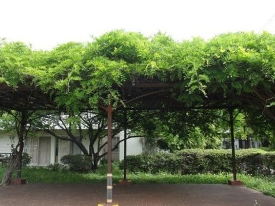緑の屋根付きテラス  