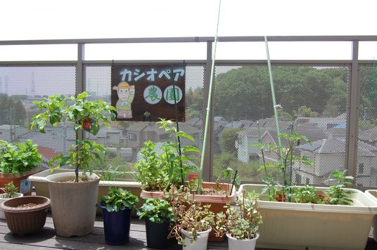 植物に囲まれたテラス