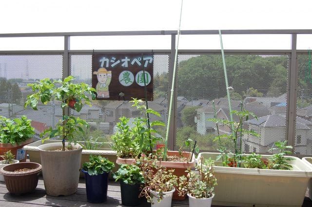 植物に囲まれたテラス