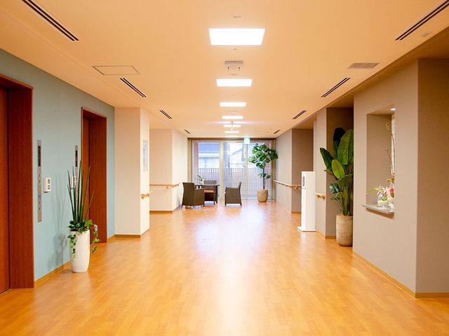 ゆったり廊下 廊下 広々とした通路は温かみのある照明が灯り、安らげる雰囲気を演出しています。壁には飾られた植物がアクセントになっており、快適な移動空間を提供しています。