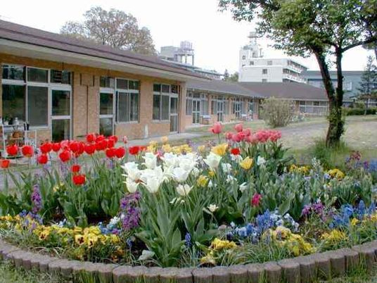 花壇のある庭  