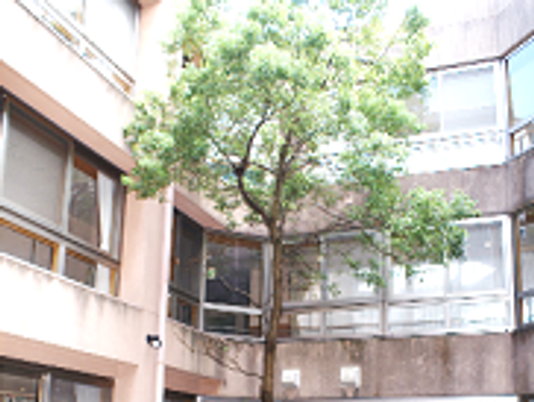 中庭の風景