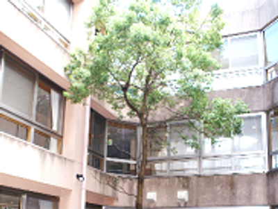 中庭の風景