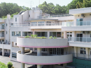 緑に囲まれた建物