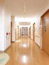 明るく清潔な廊下