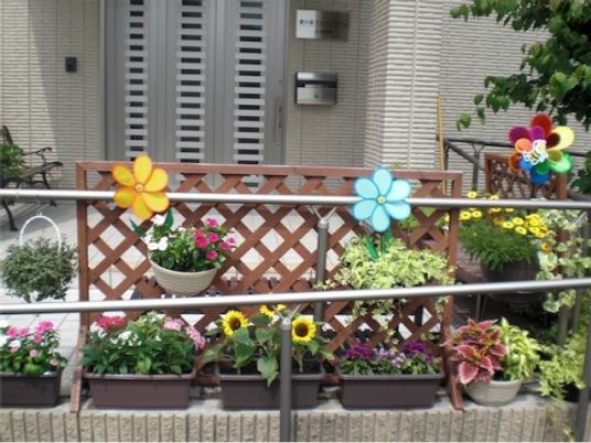 色鮮やかな花と玄関