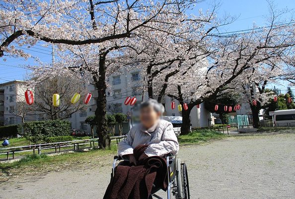 満開の桜並木と公園