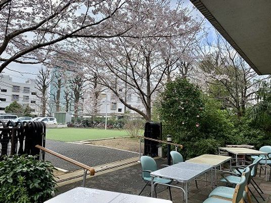 桜が見えるテラス  