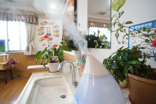 加湿器と観葉植物のある空間