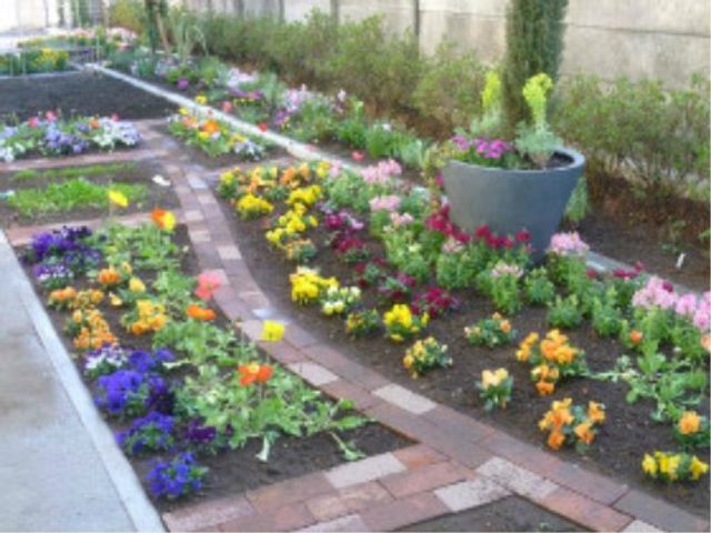 カラフルな花々の中庭 花壇 四季折々の花が彩る中庭です。心身のリフレッシュに最適な空間で、居心地の良いひとときを過ごせます。