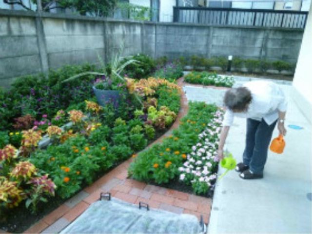 花壇を手入れする人 花壇 カラフルな花々に囲まれた中庭で、じょうろを持った方が丁寧に手入れをされています。自然に触れながら癒しのひと時を過ごせる場所です。