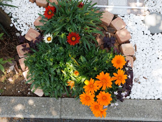 花壇の綺麗な植物たち 花壇 中庭には色鮮やかな花々が植えられ、四季折々の自然を身近に感じながら過ごせる環境が整っています。