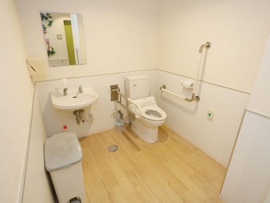 洗面台や手すりが設置されたトイレ