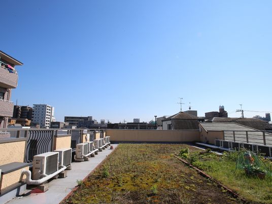 明るい屋上庭園風景