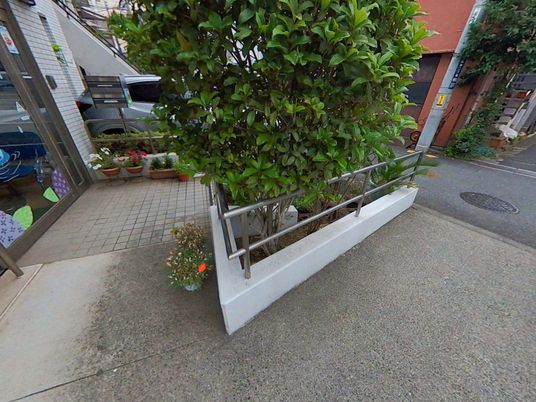 緑豊かなエントランス
