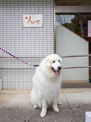 犬と入口前