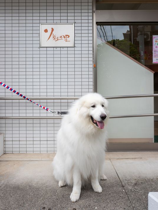 犬と入口前