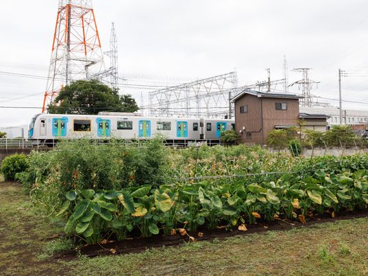 電車と家屋のある風景