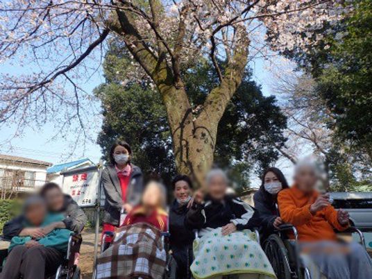 穏やかな庭の様子