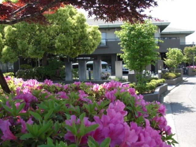 花が咲く庭 庭 色とりどりの花が咲く庭で、自然を感じながらリフレッシュできます。