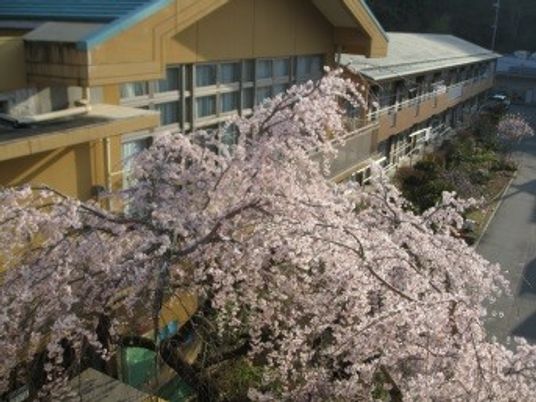 桜が見える外観  
