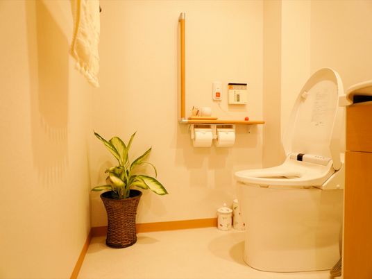 清潔なトイレの様子