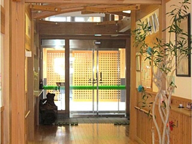 広々とした廊下 廊下 温かみのある木材の廊下は、落ち着いた雰囲気を提供します。植物が心を和ませます。
