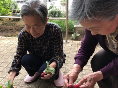 スタッフと利用者の園芸活動