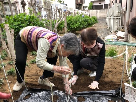 庭で共同作業を行う様子