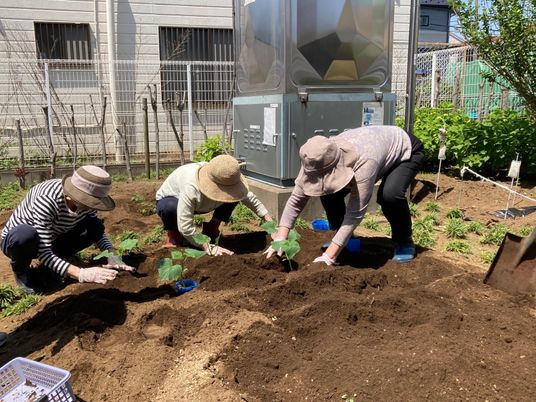 スタッフと共に園芸作業