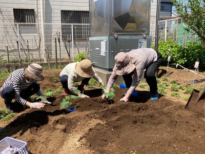 スタッフと共に園芸作業