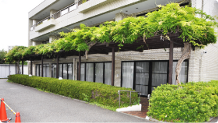 緑に包まれた外観