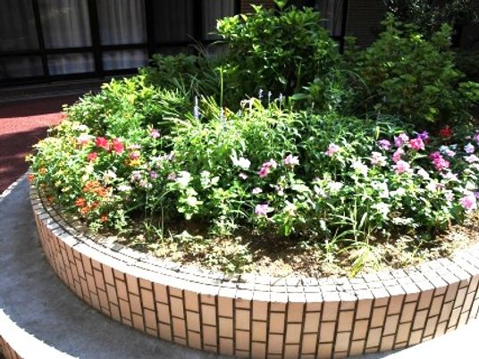 花が咲く中庭  