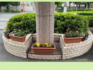 花壇のある中庭  