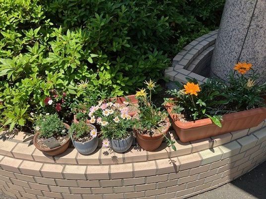 花壇のある庭  