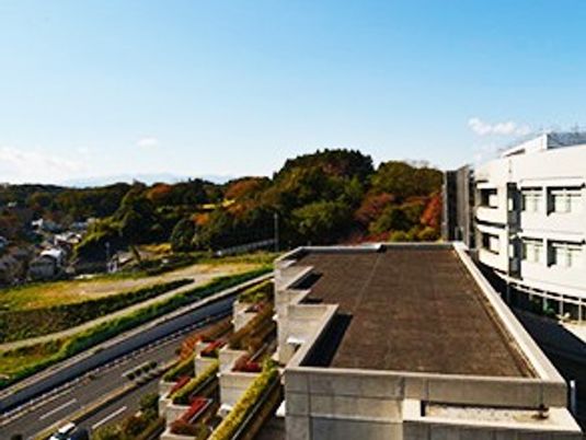 建物上部から見た外観  