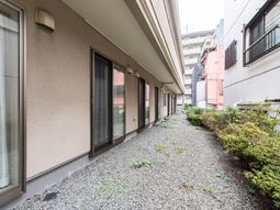 建物と緑の中庭