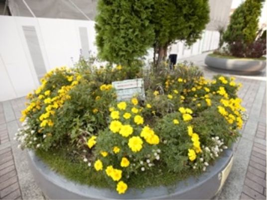 花と緑のきれいな中庭