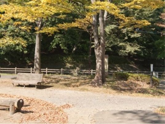 秋の中庭の風景