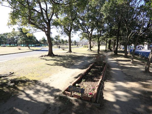 緑豊かな散歩道