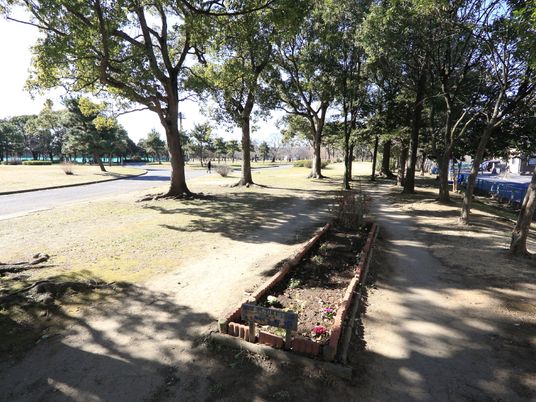 緑豊かな散歩道