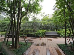 緑豊かな中庭の風景