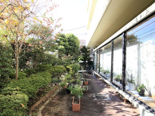 施設の写真 全面ガラスの大きな窓にを通して緑溢れる中庭が広がる。手入れされた樹木とプランターにも植物が植えられている。