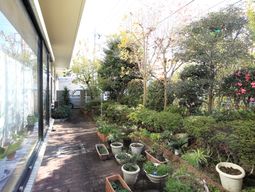 植栽豊かな中庭の景観