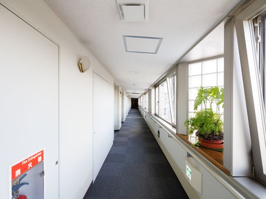 明るい廊下と観葉植物