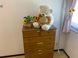 窓際の家具