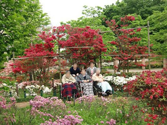 花に囲まれた中庭