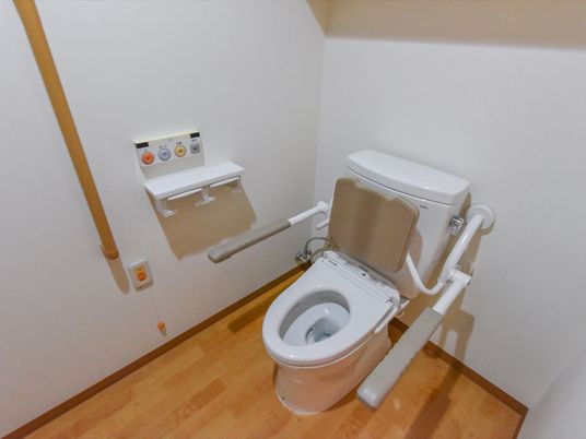 上下に動かすことができるベージュ色の手すりが、トイレの左右に設置されている。背面部分には、四角い背もたれが付いている。