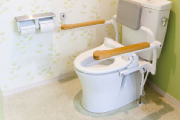 安全な設備のトイレ