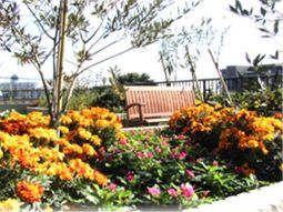 彩り豊かな中庭